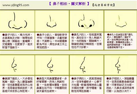 鼻子看面相